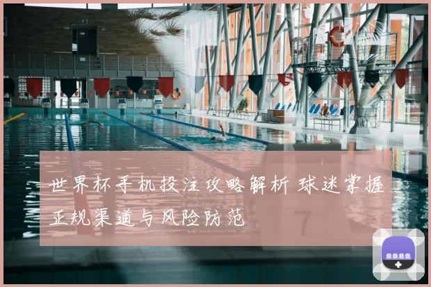 世界杯手机投注攻略解析 球迷掌握正规渠道与风险防范