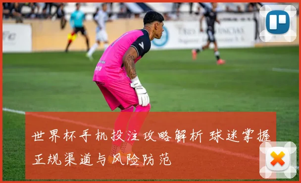 世界杯手机投注攻略解析 球迷掌握正规渠道与风险防范