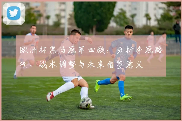 欧洲杯黑马冠军回顾,分析夺冠路径、战术调整与未来借鉴意义