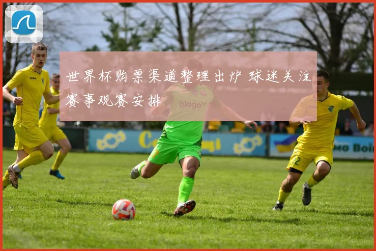 世界杯购票渠道整理出炉 球迷关注赛事观赛安排