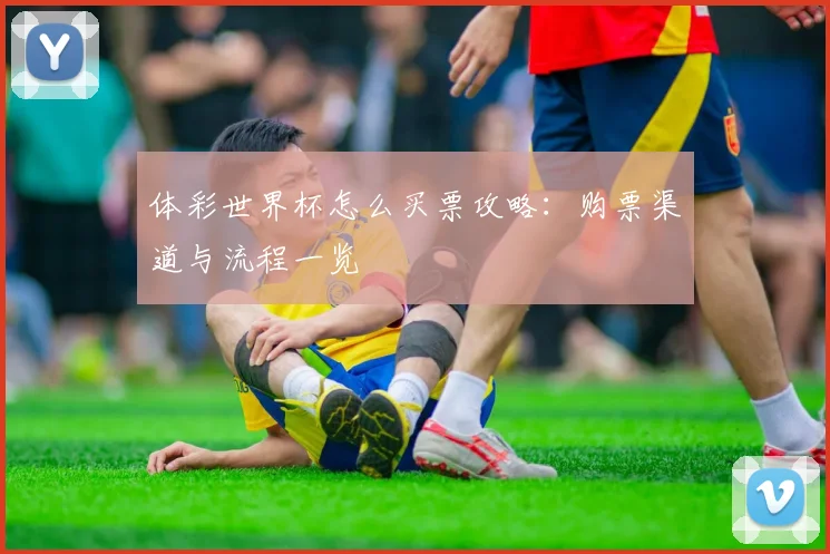 体彩世界杯怎么买票攻略：购票渠道与流程一览