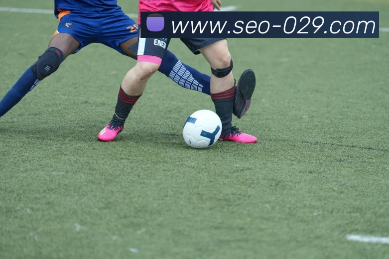 奇异果app官网下载入口APP 封面图